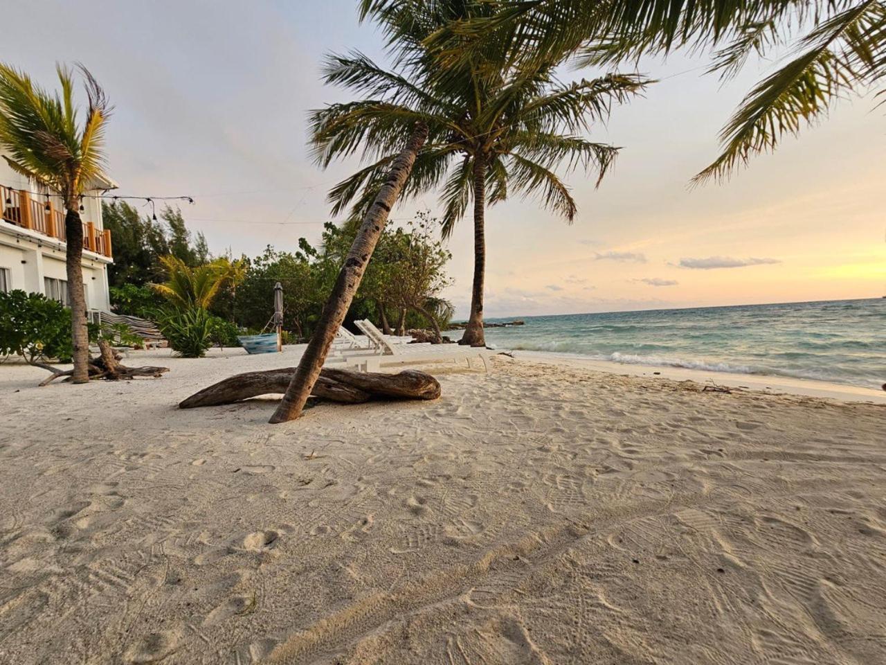 The Sunset Villa Dhiffushi Exterior photo